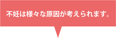 不妊はさまざまな原因が考えられます