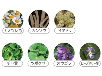 エフィット BLine27