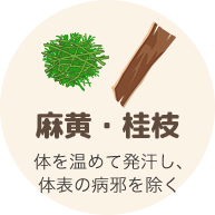 麻黄・桂枝(体を温めて発汗し、体表の病邪を除く)